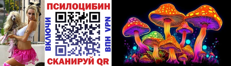 Псилоцибиновые грибы прущие грибы  Купить  Новокубанск 